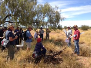 Specialists collaborating with the NRM Spatial Hub at a field day in Alice Springs in Northern Territory, Australia, demonstrating to land managers how Earth observation technologies can support better land management decisions. Credits: image courtesy Phil Tickl
