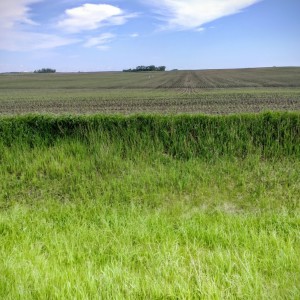 Iowa workshop_Peter Scarth