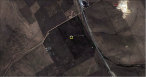 Sample plot of Chinese wildrye.