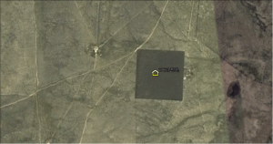 Sample plot of stipa capillata.